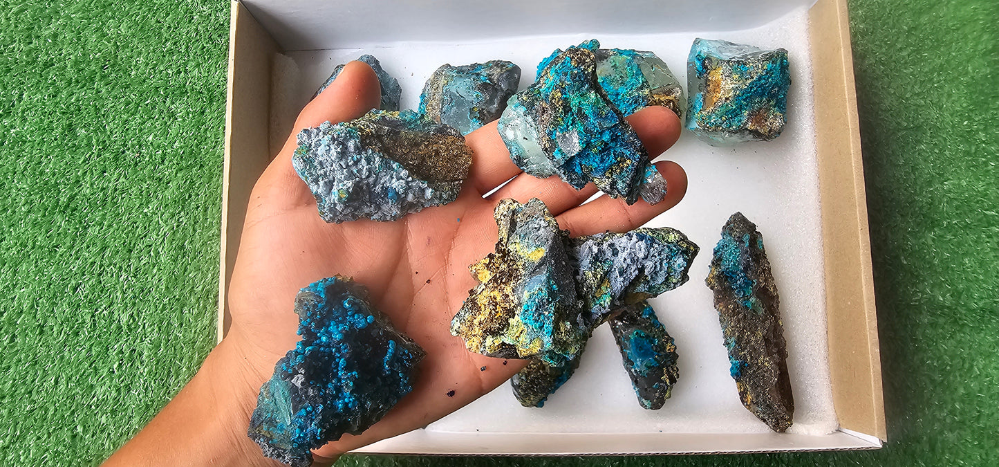 Lot 12 Chrysocolla on Quartz