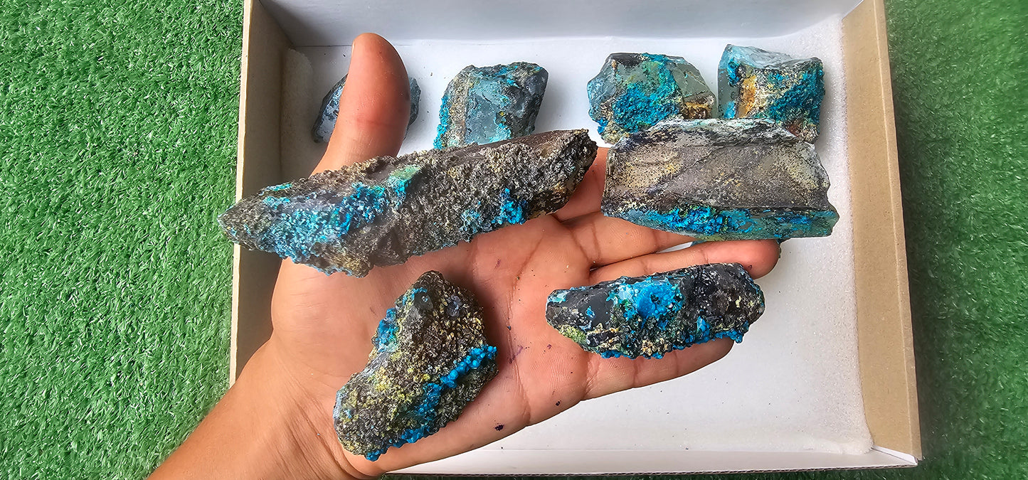 Lot 12 Chrysocolla on Quartz