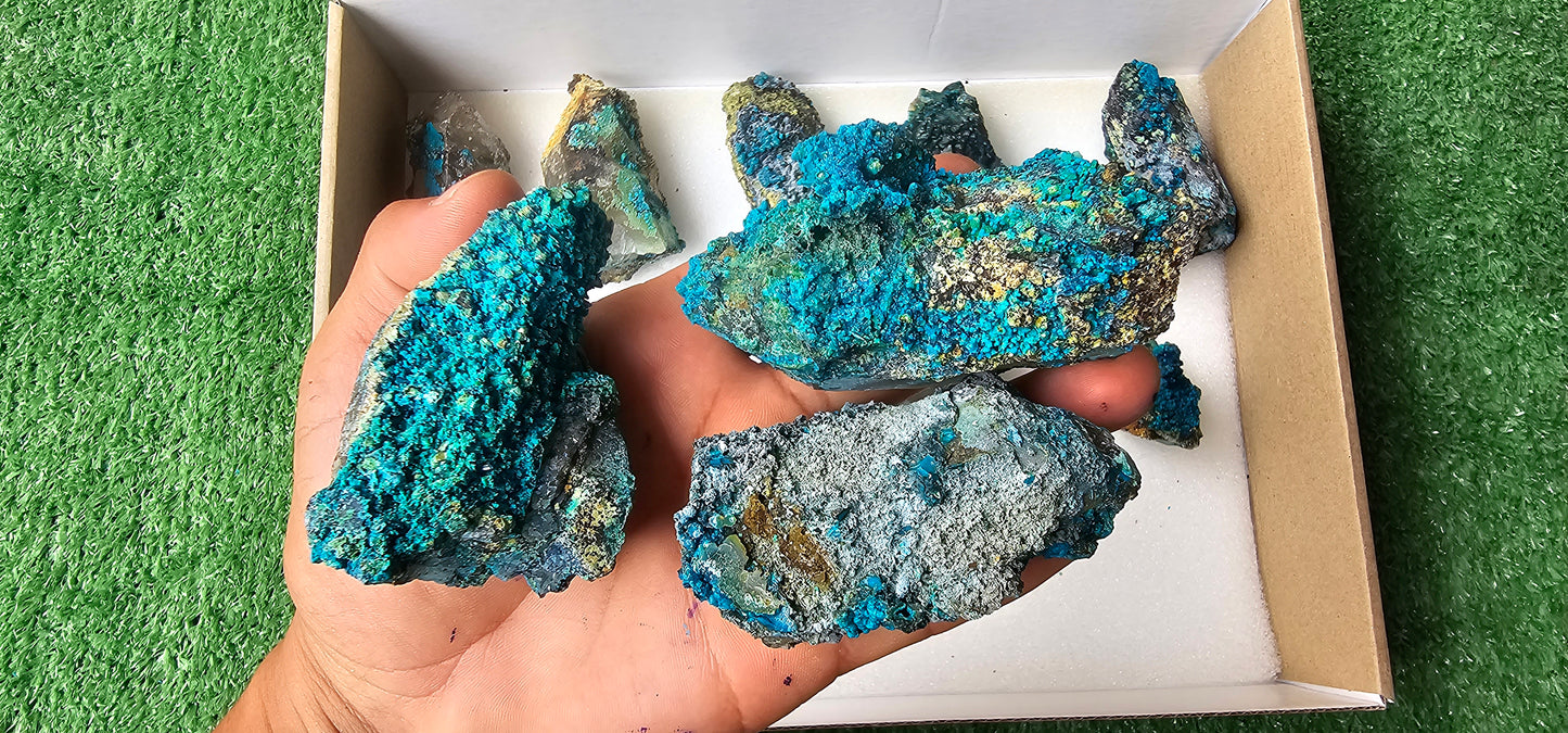 Lot 12 Chrysocolla on Quartz