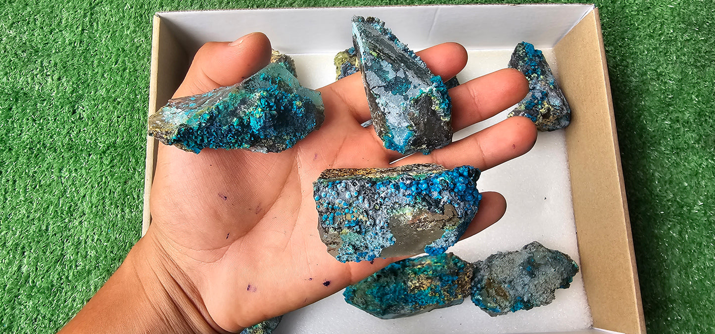 Lot 12 Chrysocolla on Quartz