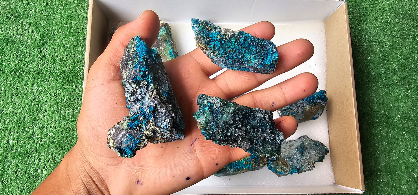 Lot 12 Chrysocolla on Quartz