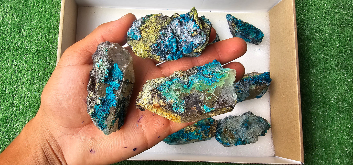 Lot 12 Chrysocolla on Quartz