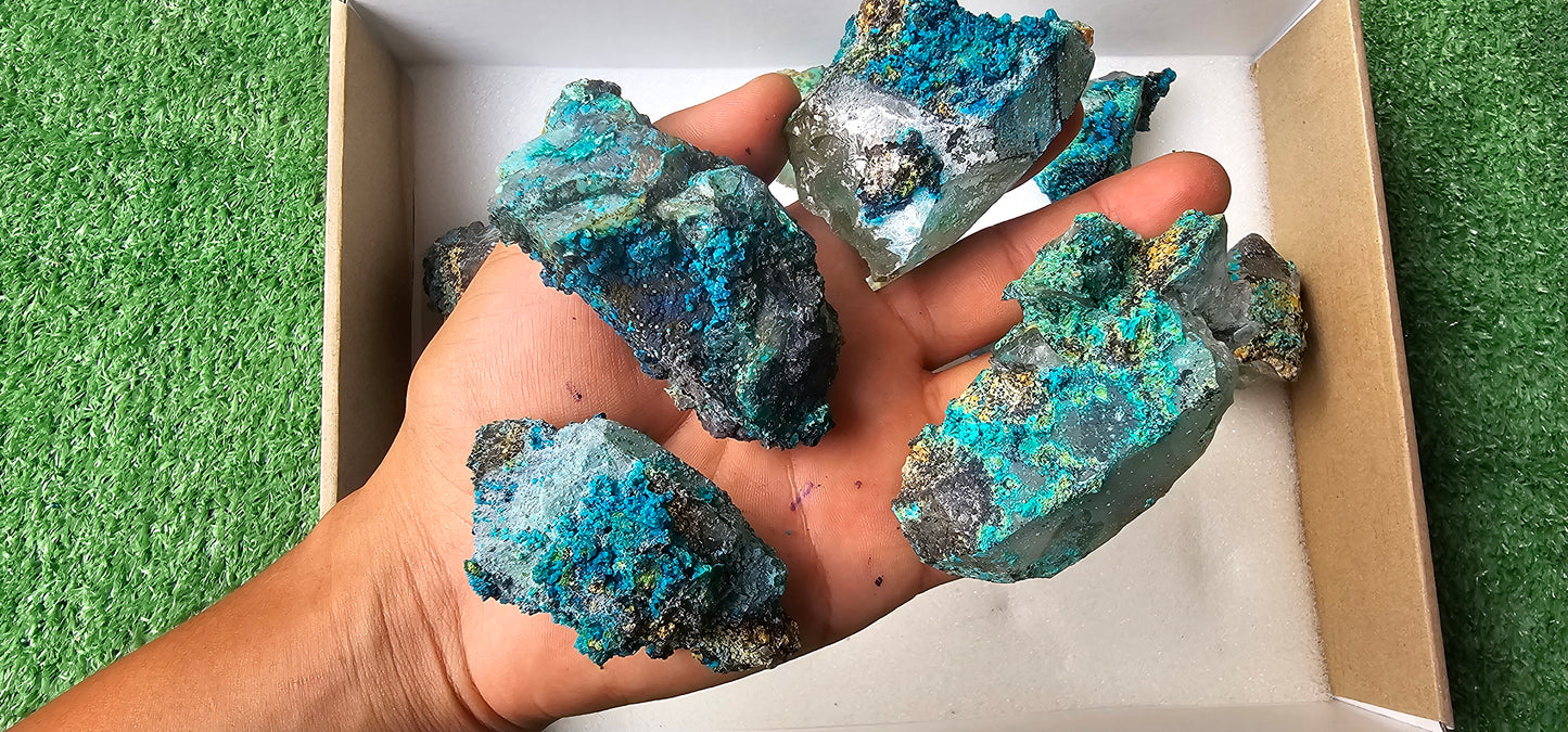 Lot 12 Chrysocolla on Quartz