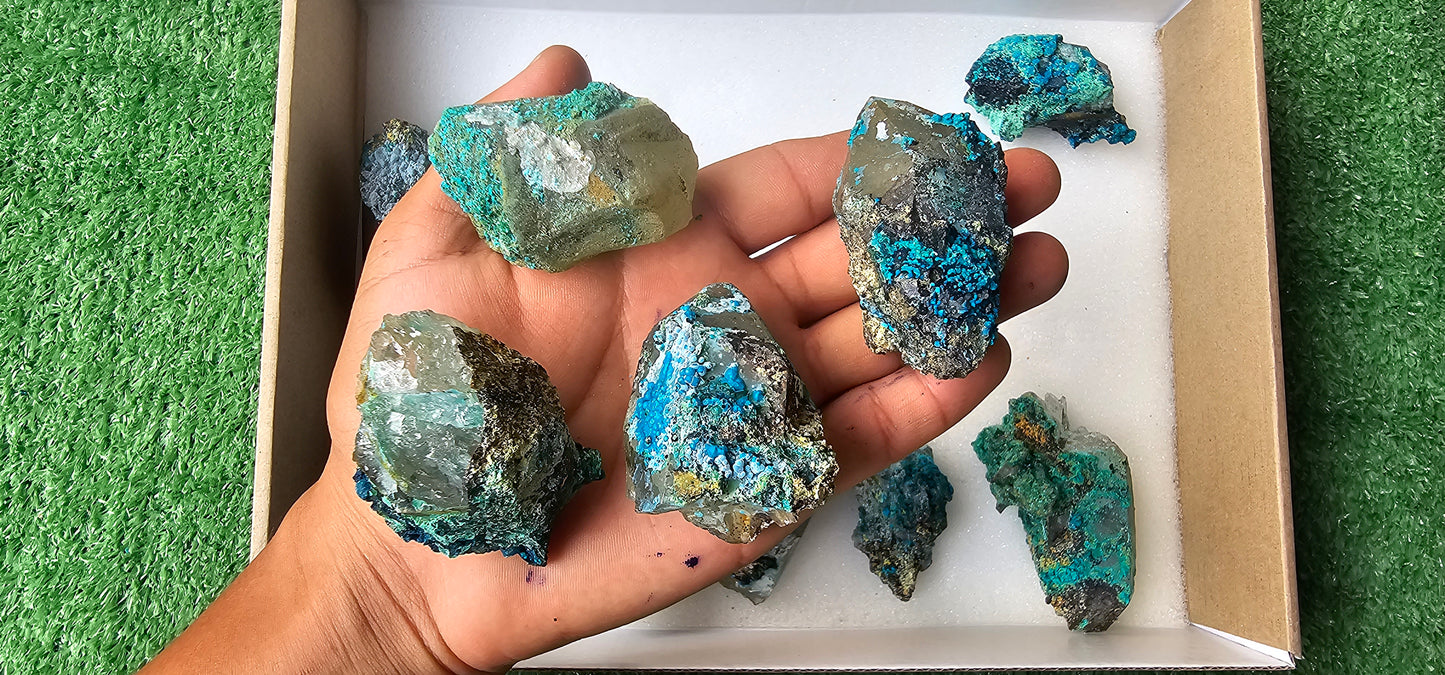 Lot 12 Chrysocolla on Quartz