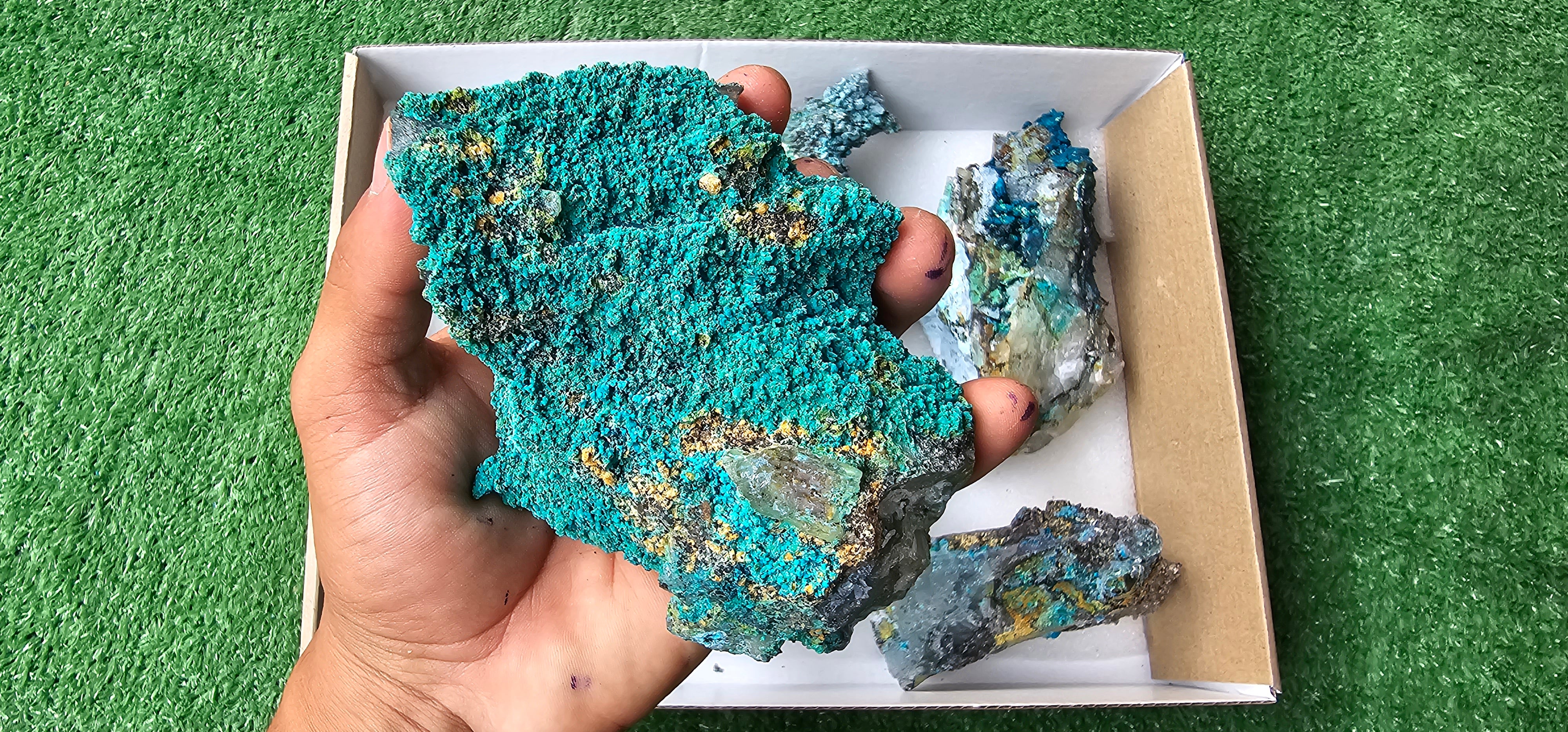 Lot 6 Chrysocolla on Quartz