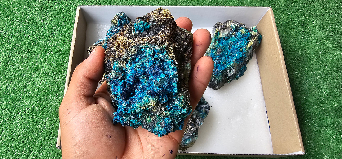 Lot 6 Chrysocolla on Quartz