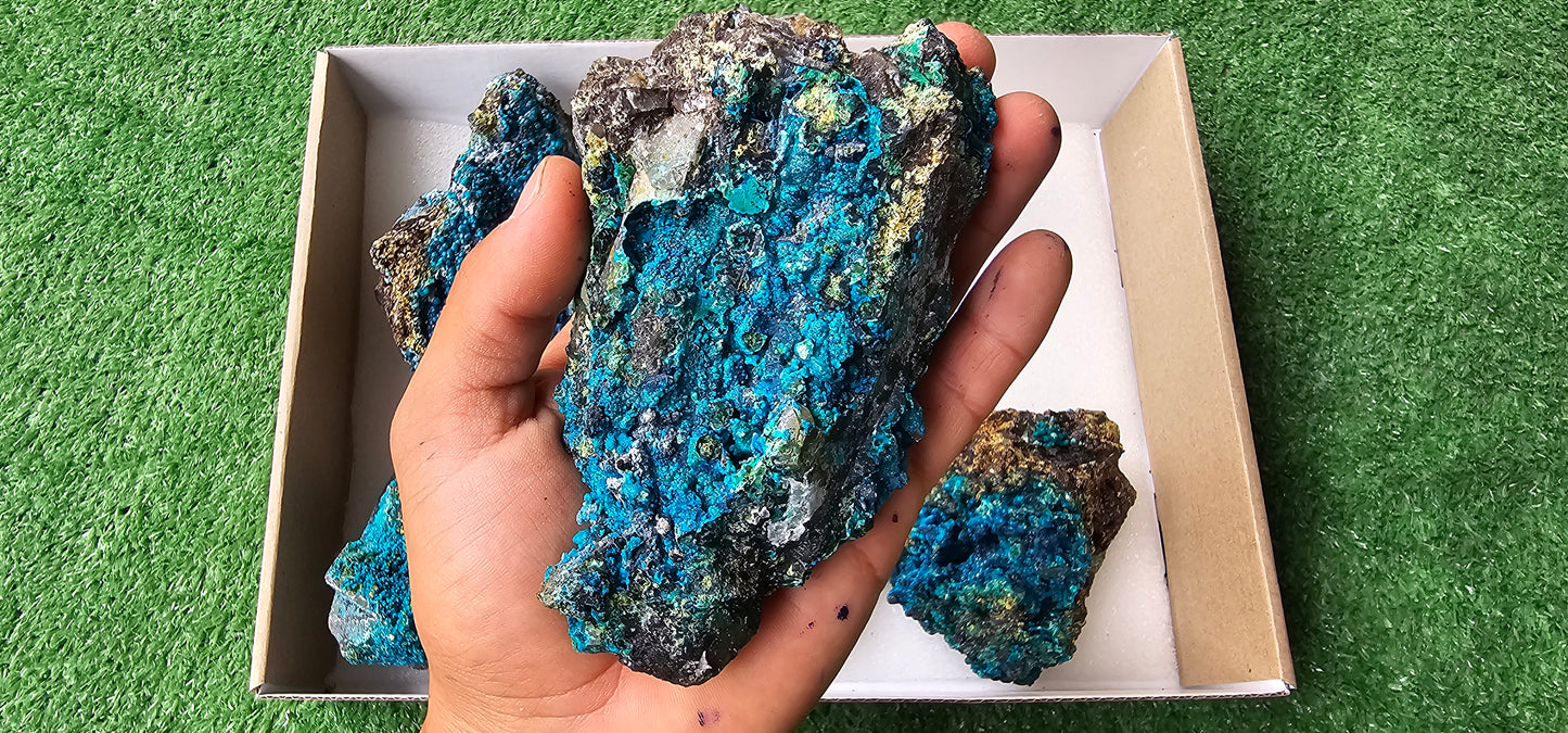 Lot 6 Chrysocolla on Quartz