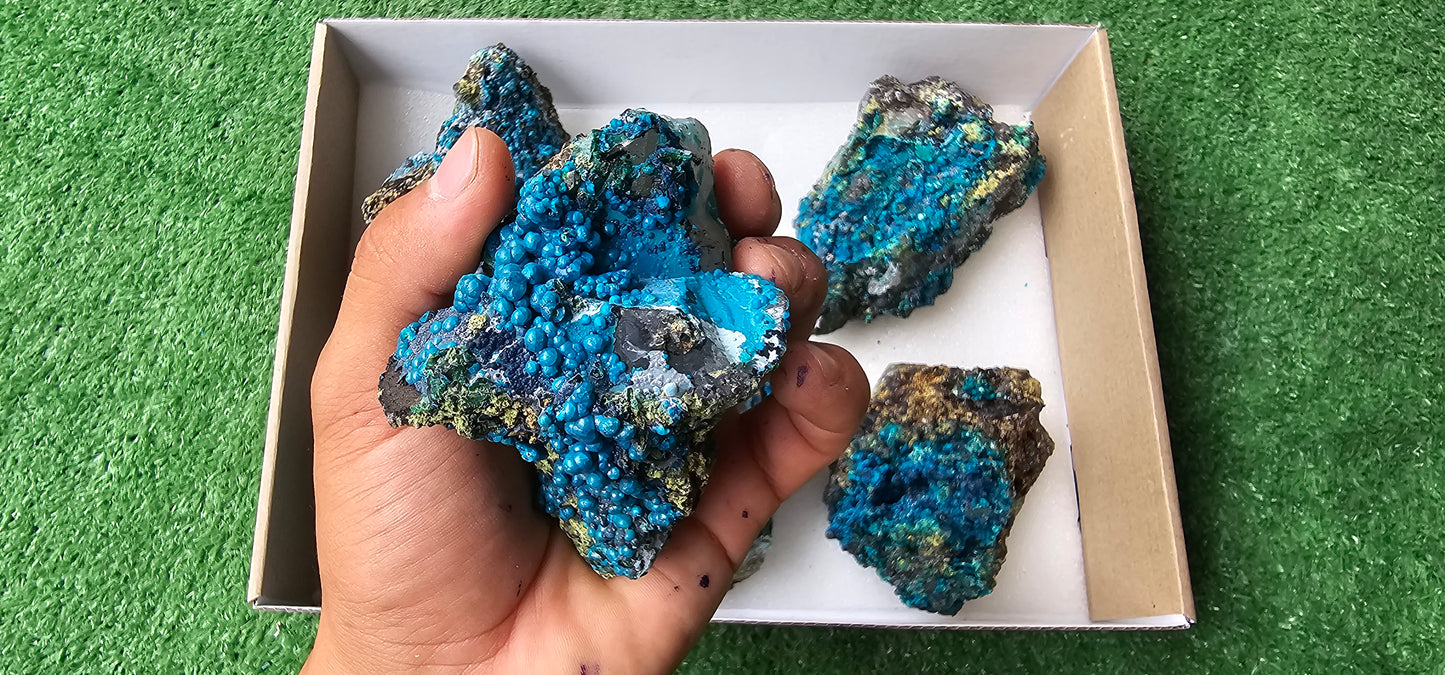 Lot 6 Chrysocolla on Quartz