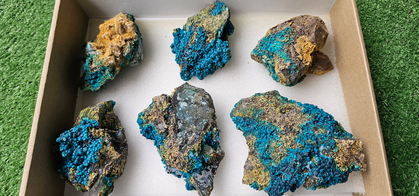 Lot 6 Chrysocolla on Quartz