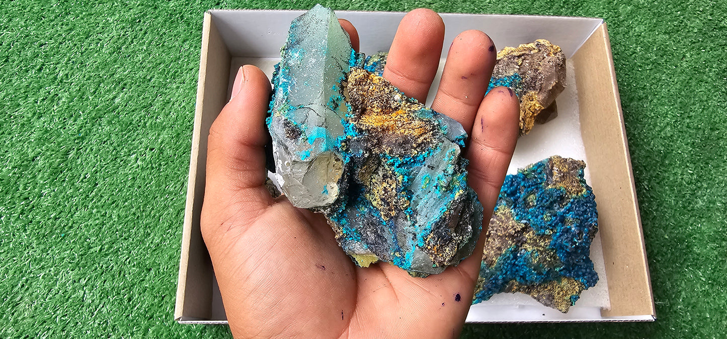 Lot 6 Chrysocolla on Quartz