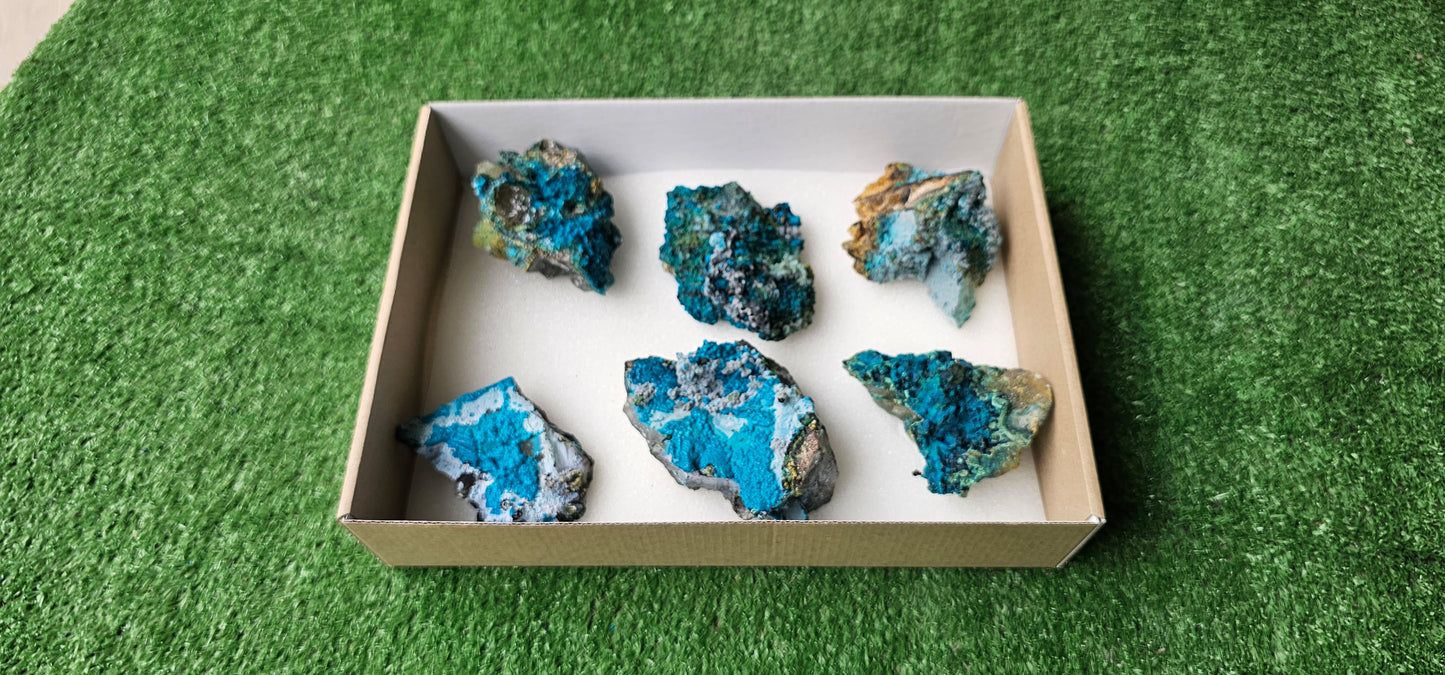 Lot 6 Chrysocolla on Quartz