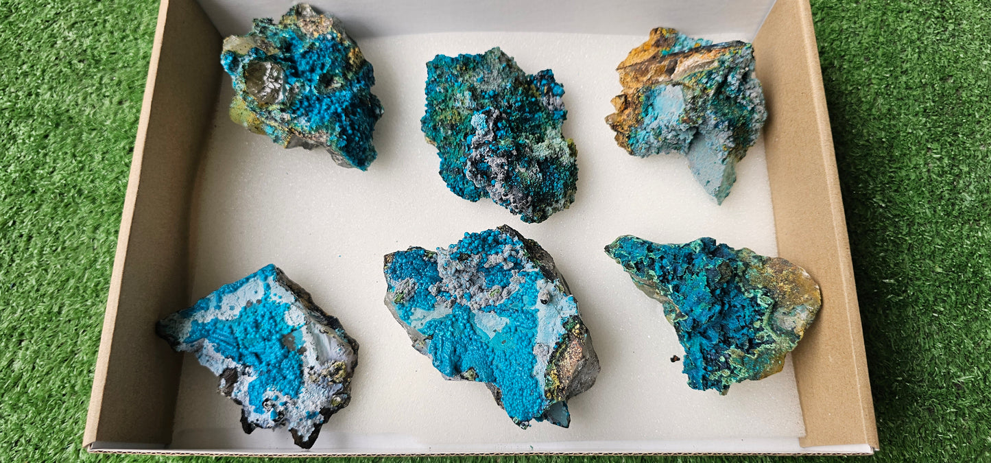 Lot 6 Chrysocolla on Quartz