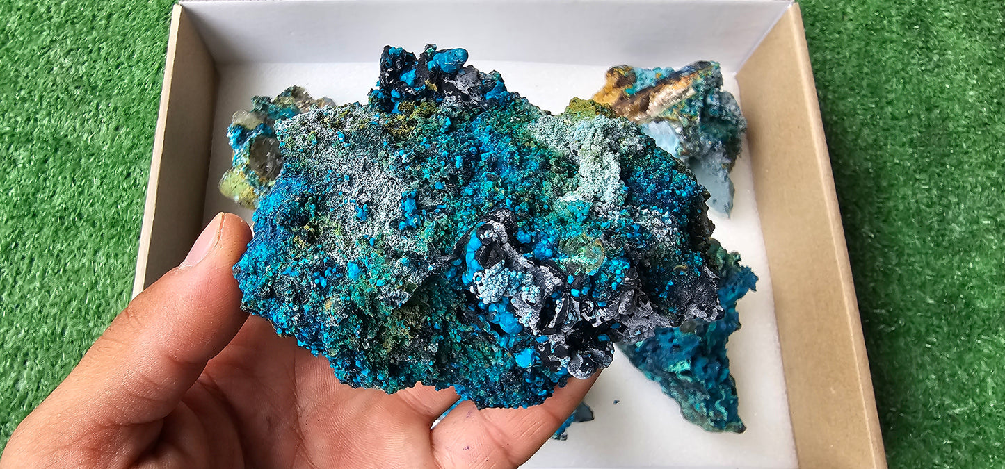 Lot 6 Chrysocolla on Quartz