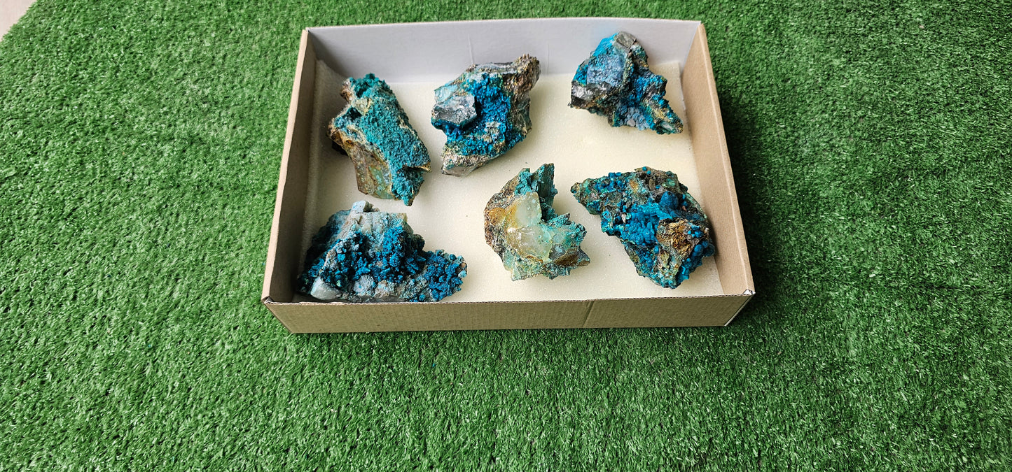 Lot 6 Chrysocolla on Quartz