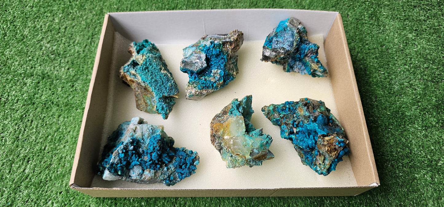 Lot 6 Chrysocolla on Quartz