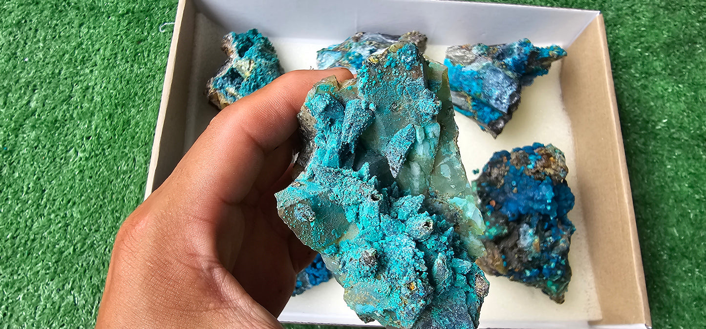 Lot 6 Chrysocolla on Quartz