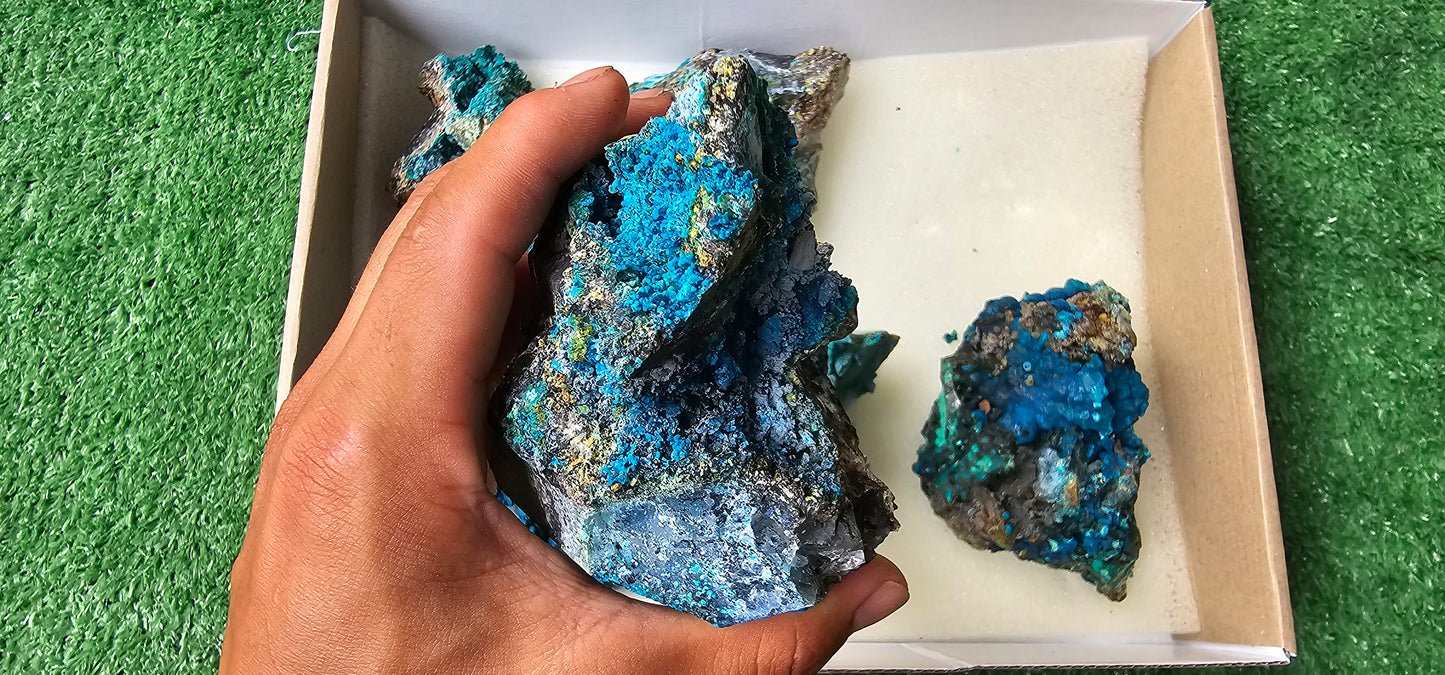 Lot 6 Chrysocolla on Quartz