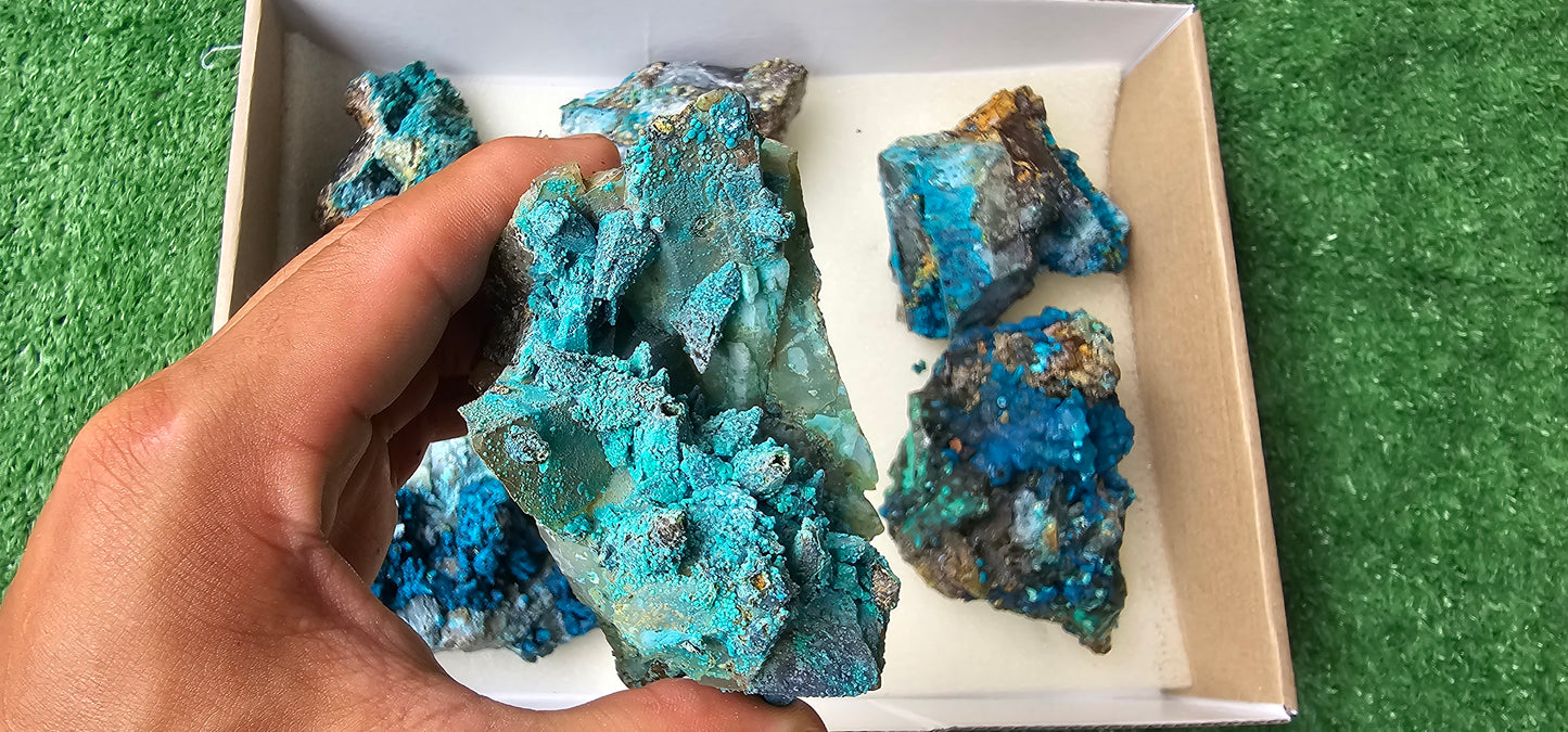 Lot 6 Chrysocolla on Quartz