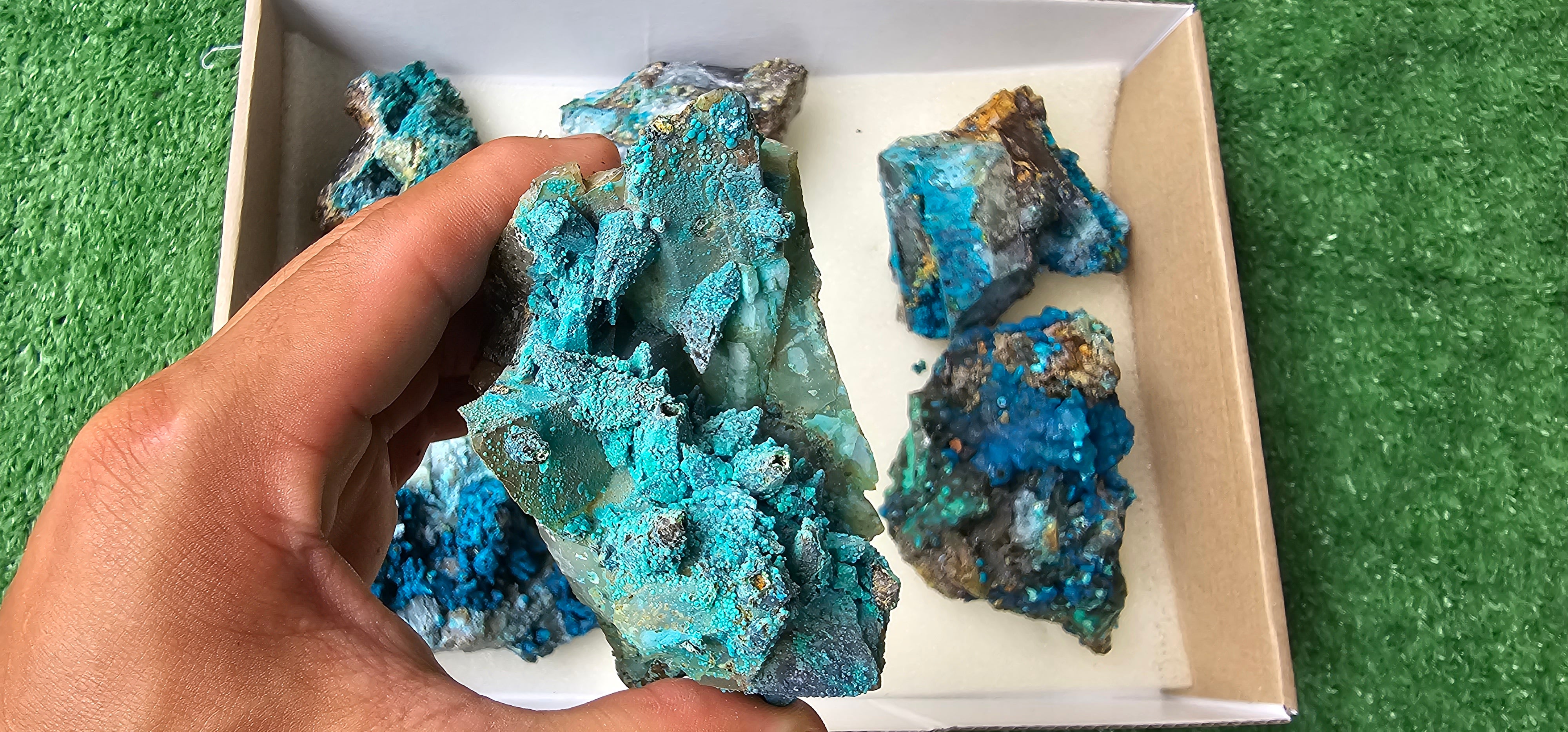 Lot 6 Chrysocolla on Quartz