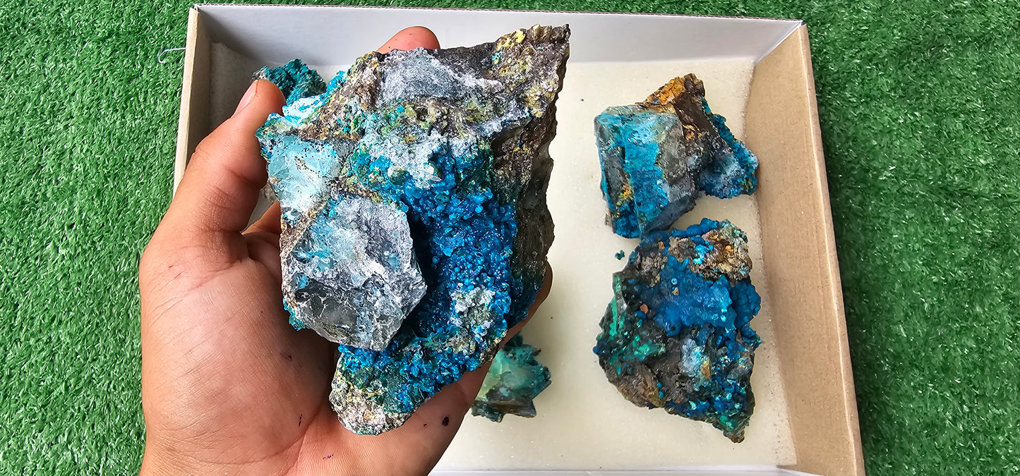 Lot 6 Chrysocolla on Quartz