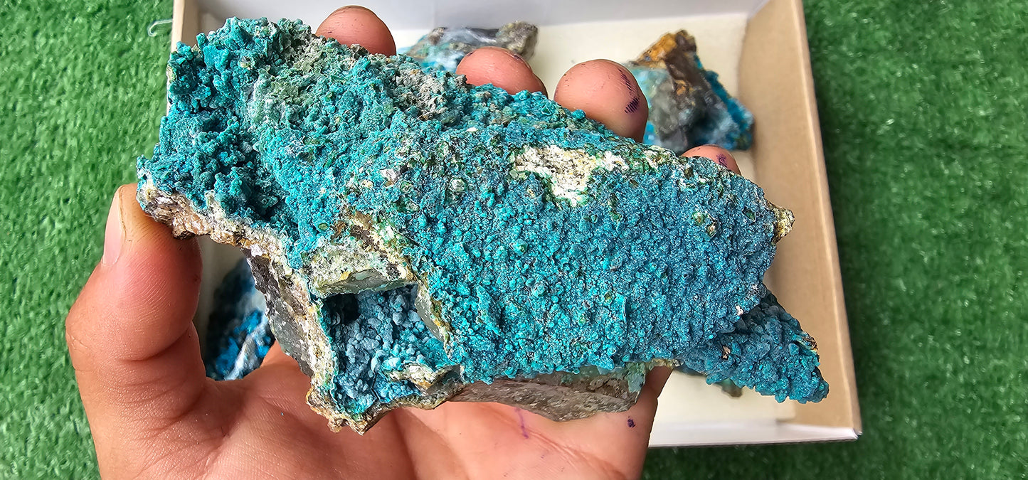 Lot 6 Chrysocolla on Quartz