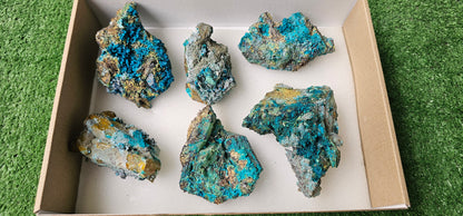 Lot 6 Chrysocolla on Quartz