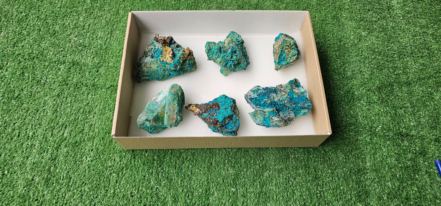 Lot 6 Chrysocolla on Quartz