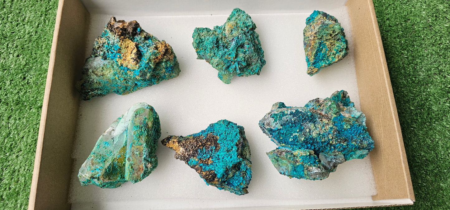 Lot 6 Chrysocolla on Quartz