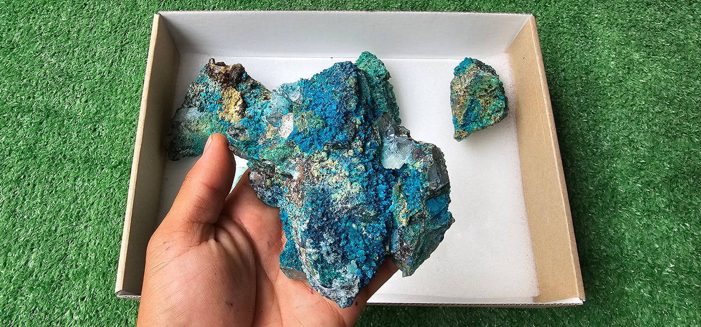 Lot 6 Chrysocolla on Quartz