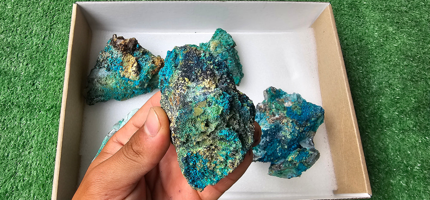 Lot 6 Chrysocolla on Quartz