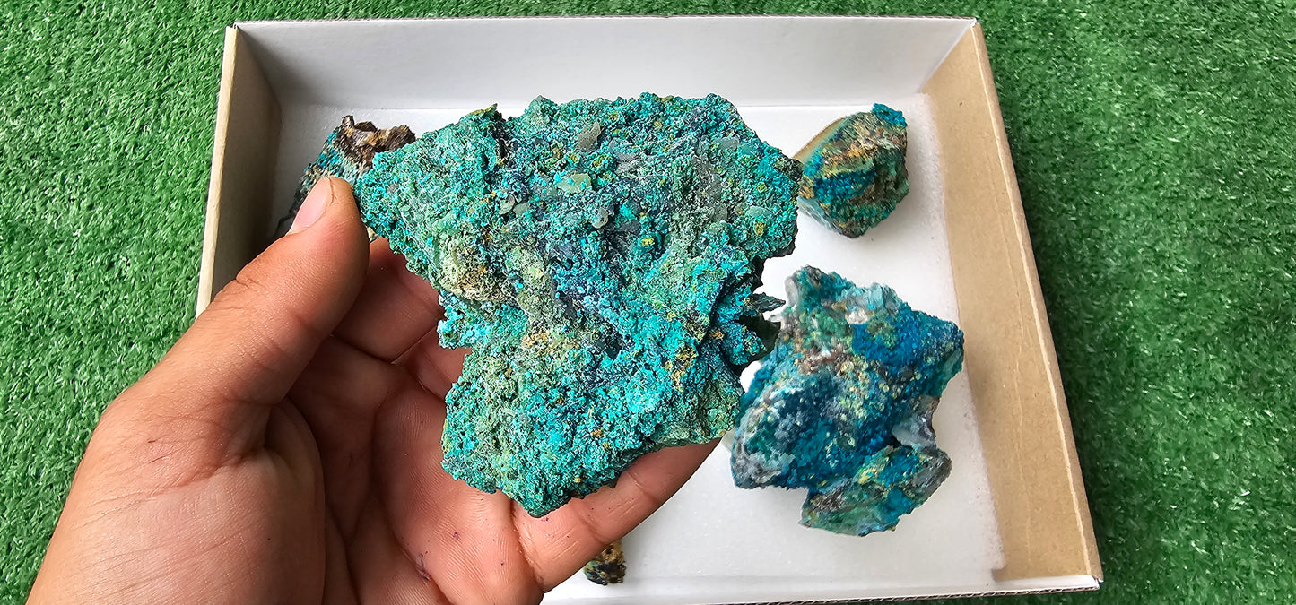 Lot 6 Chrysocolla on Quartz