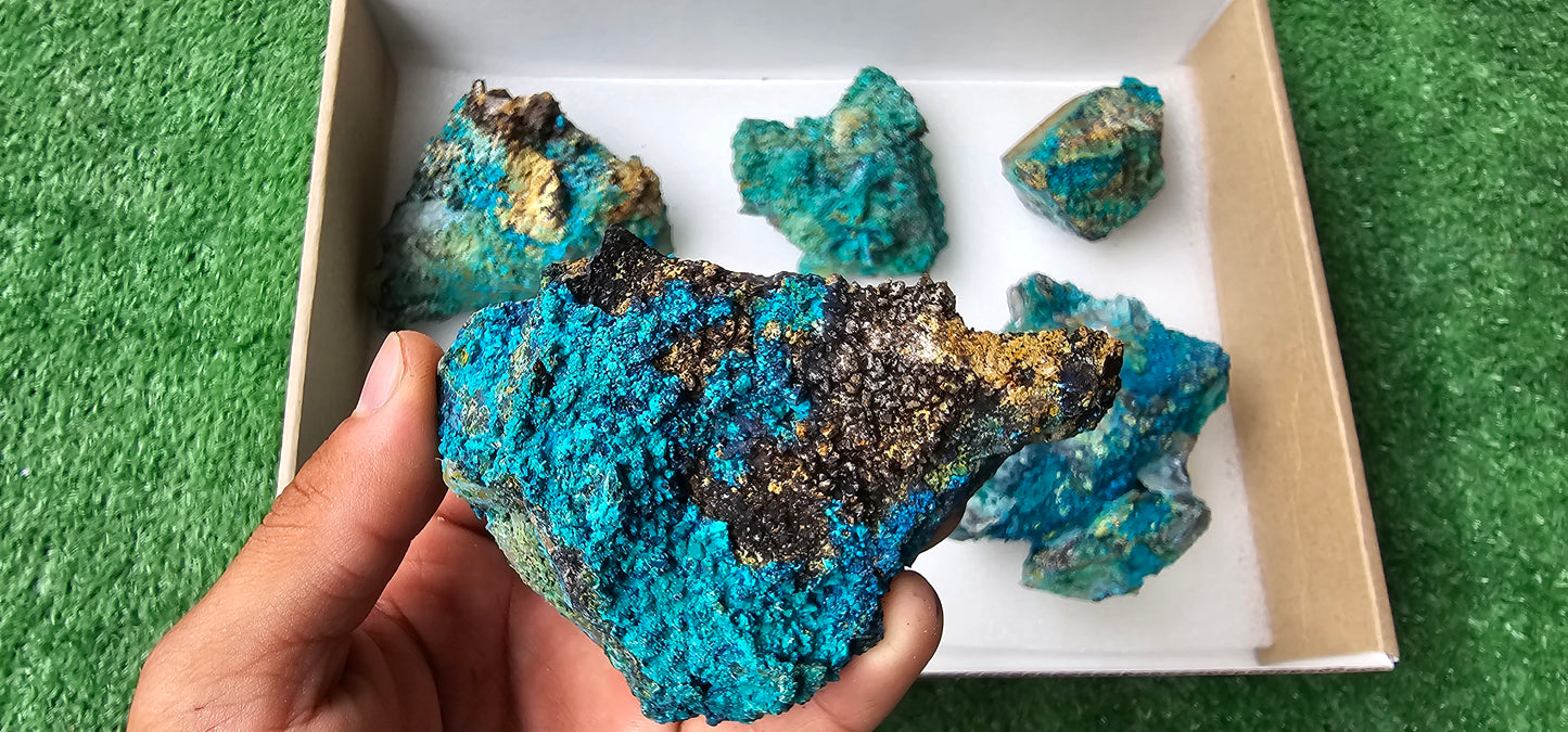 Lot 6 Chrysocolla on Quartz