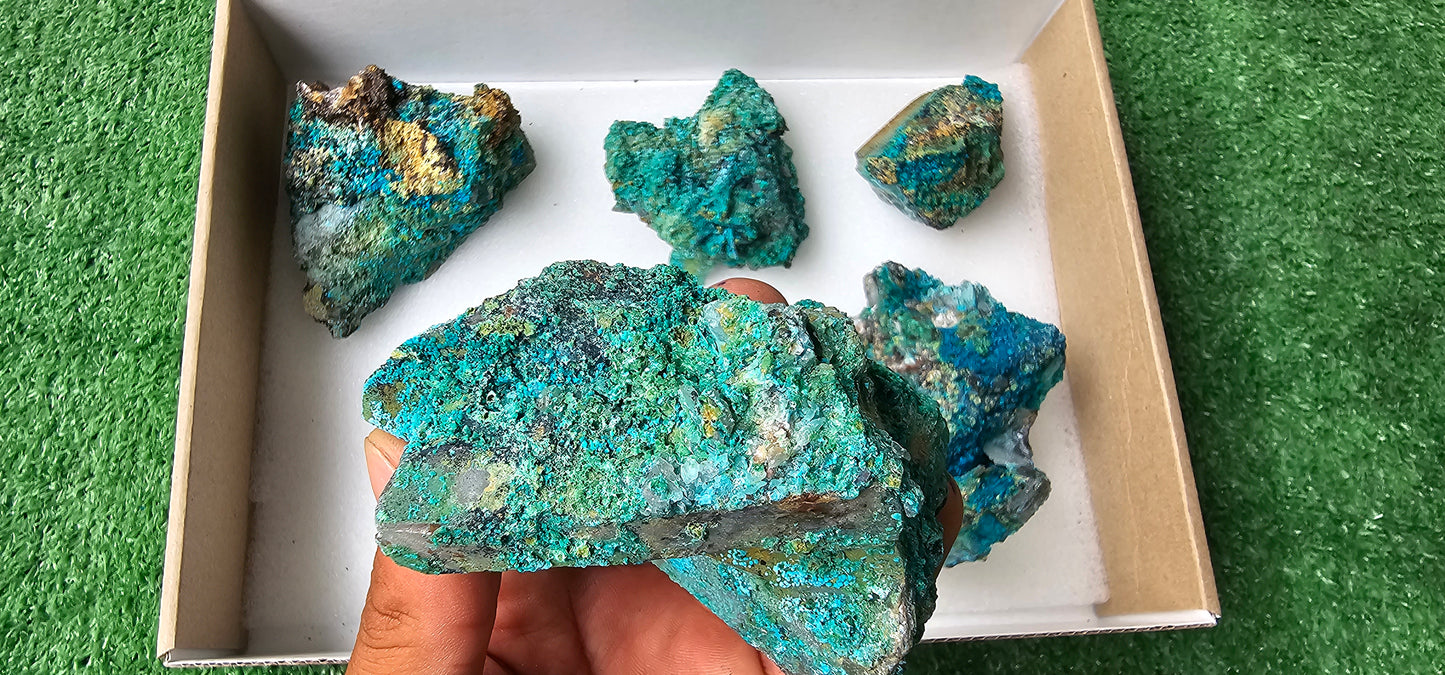 Lot 6 Chrysocolla on Quartz