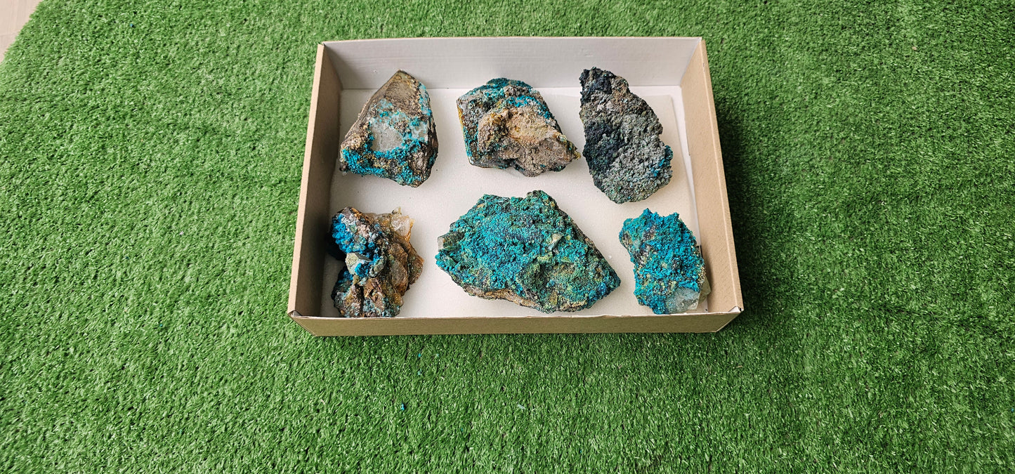 Lot 6 Chrysocolla on Quartz