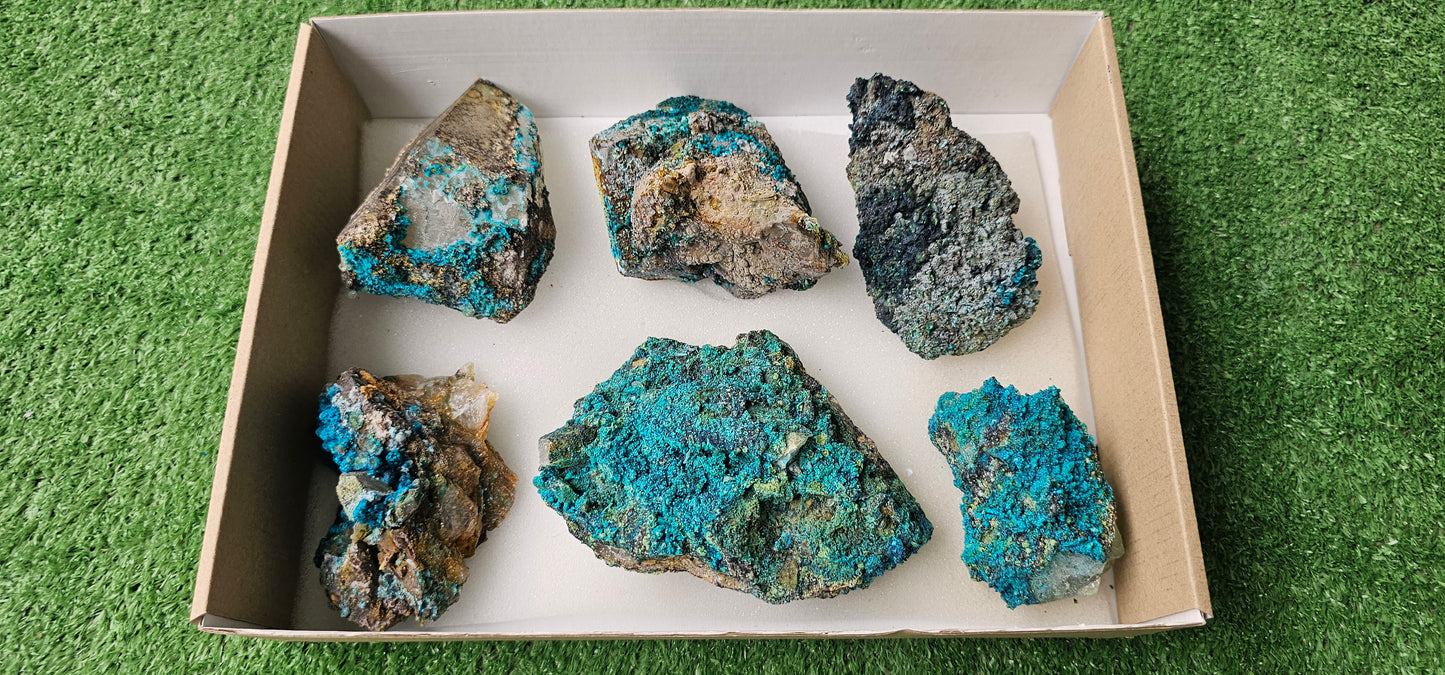 Lot 6 Chrysocolla on Quartz