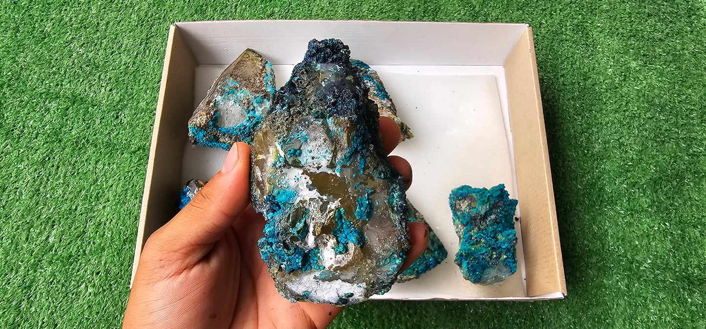 Lot 6 Chrysocolla on Quartz