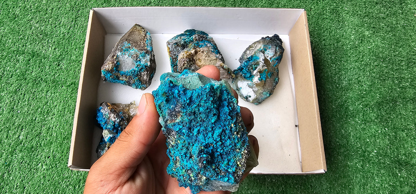 Lot 6 Chrysocolla on Quartz