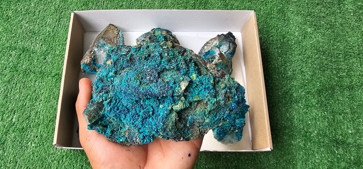 Lot 6 Chrysocolla on Quartz