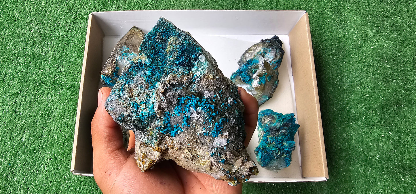 Lot 6 Chrysocolla on Quartz