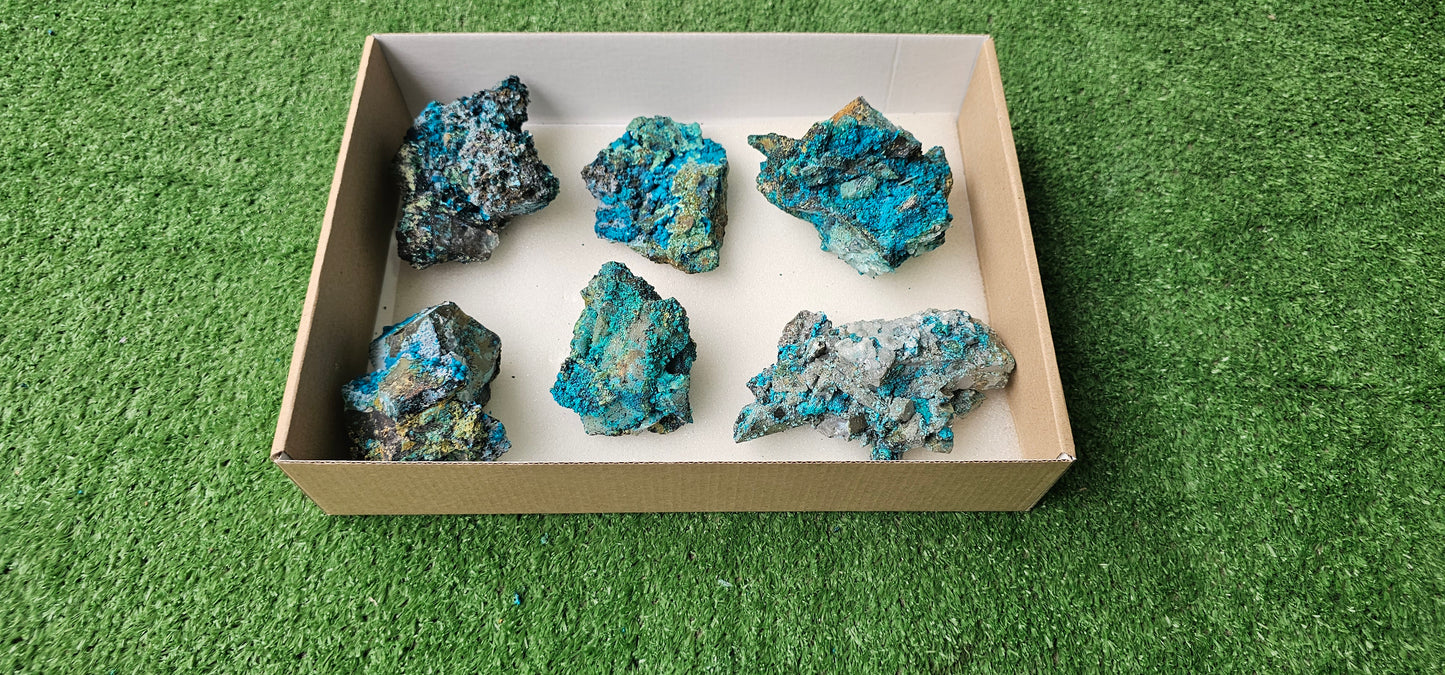 Lot 6 Chrysocolla on Quartz