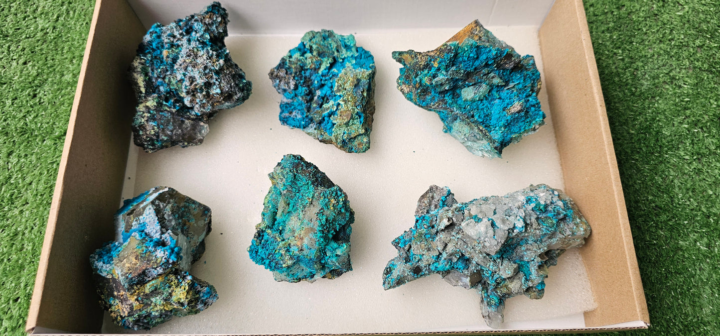 Lot 6 Chrysocolla on Quartz