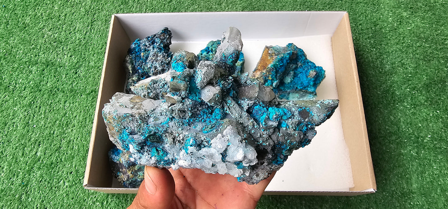 Lot 6 Chrysocolla on Quartz