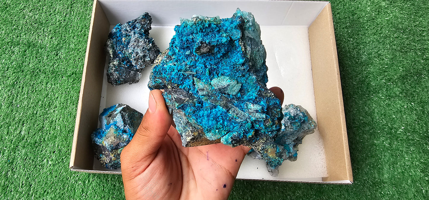 Lot 6 Chrysocolla on Quartz