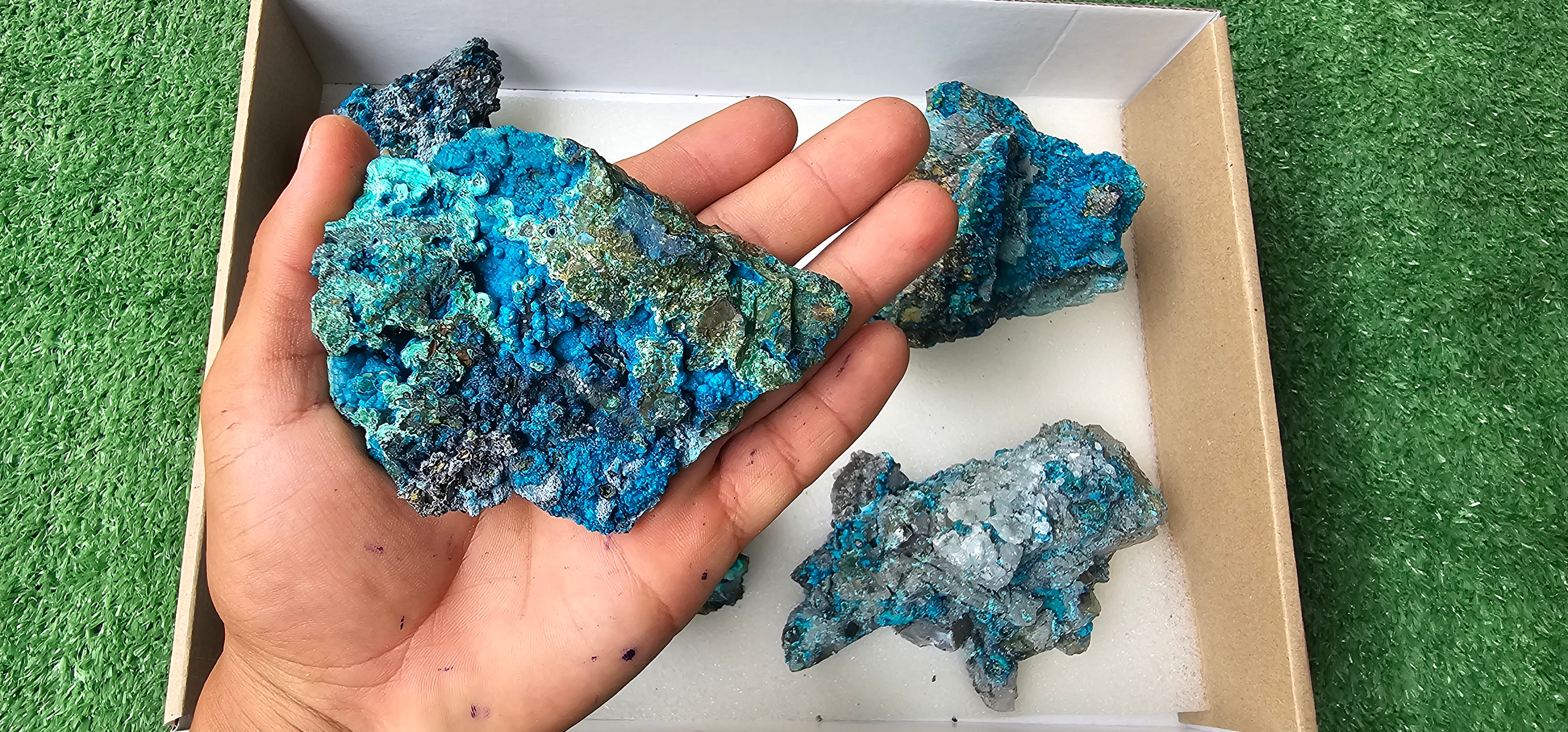 Lot 6 Chrysocolla on Quartz