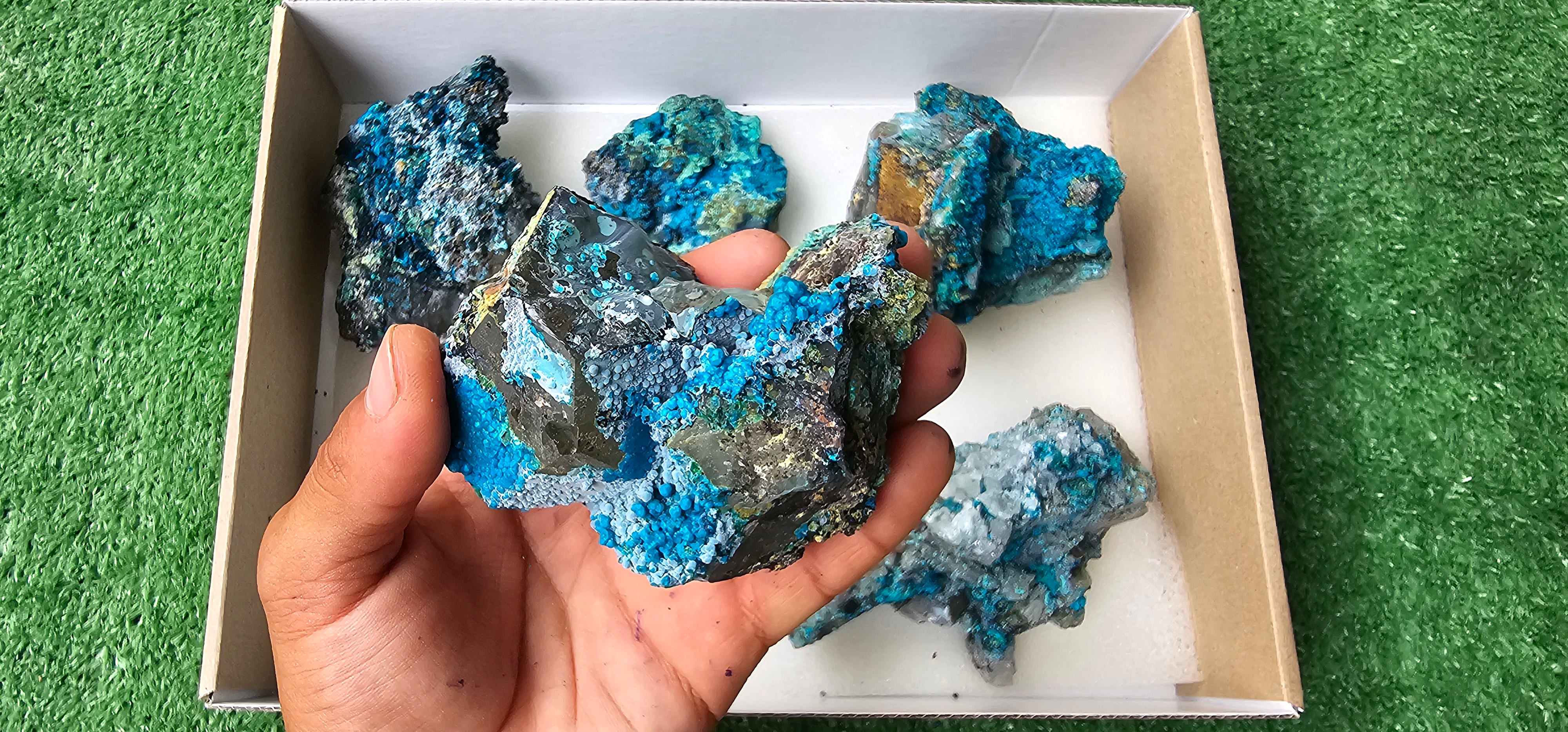 Lot 6 Chrysocolla on Quartz