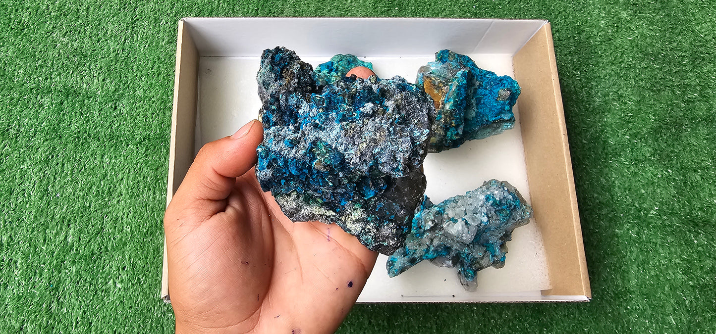 Lot 6 Chrysocolla on Quartz