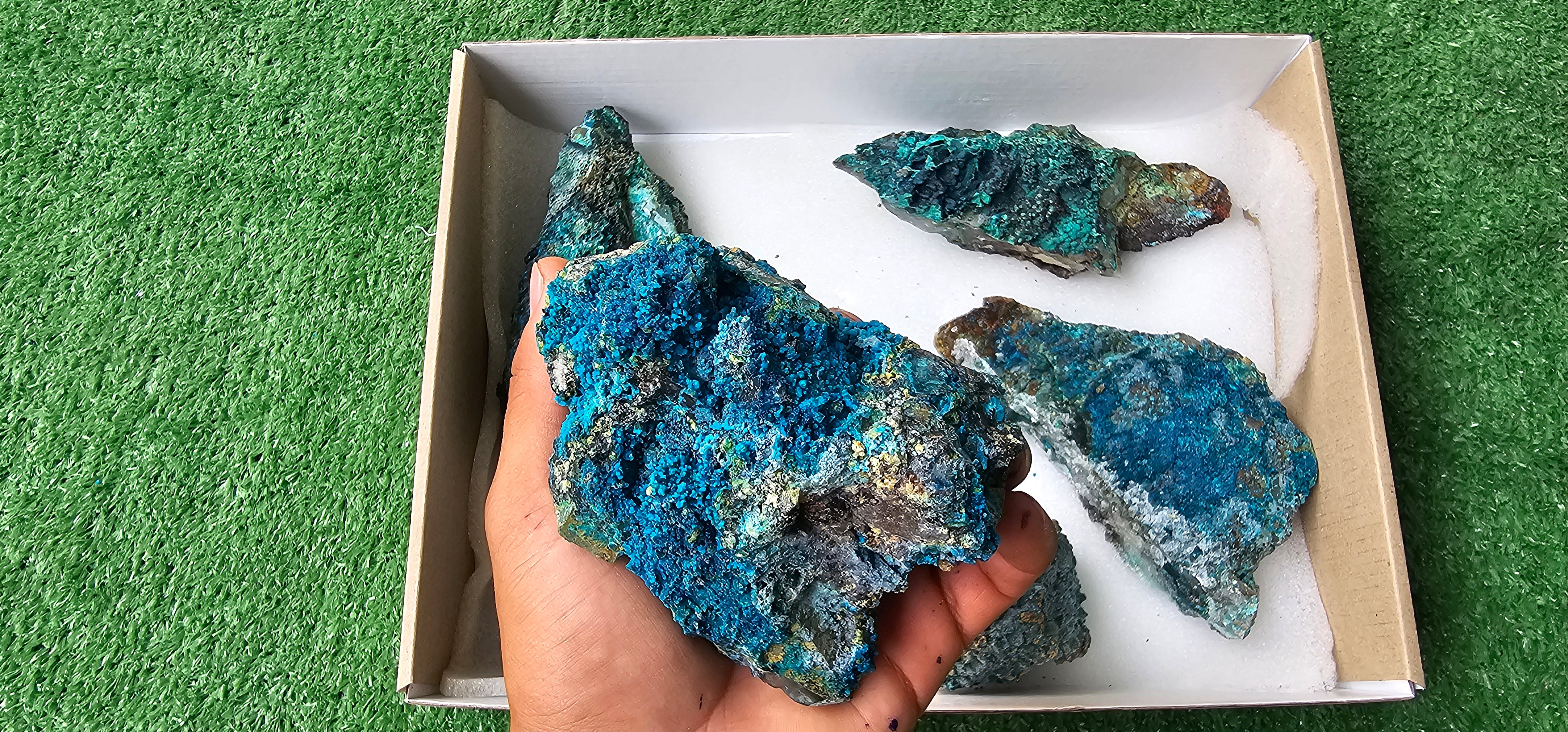 Lot 6 Chrysocolla on Quartz