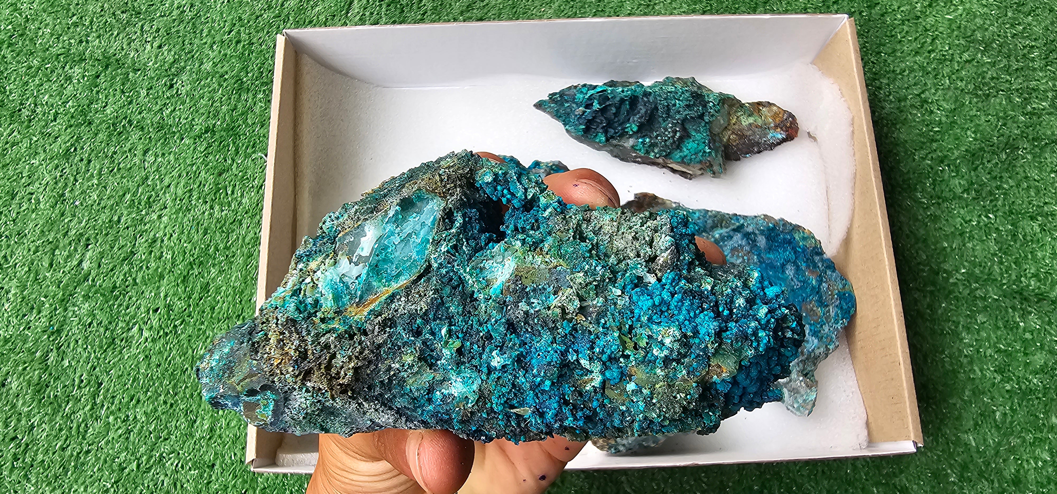 Lot 6 Chrysocolla on Quartz