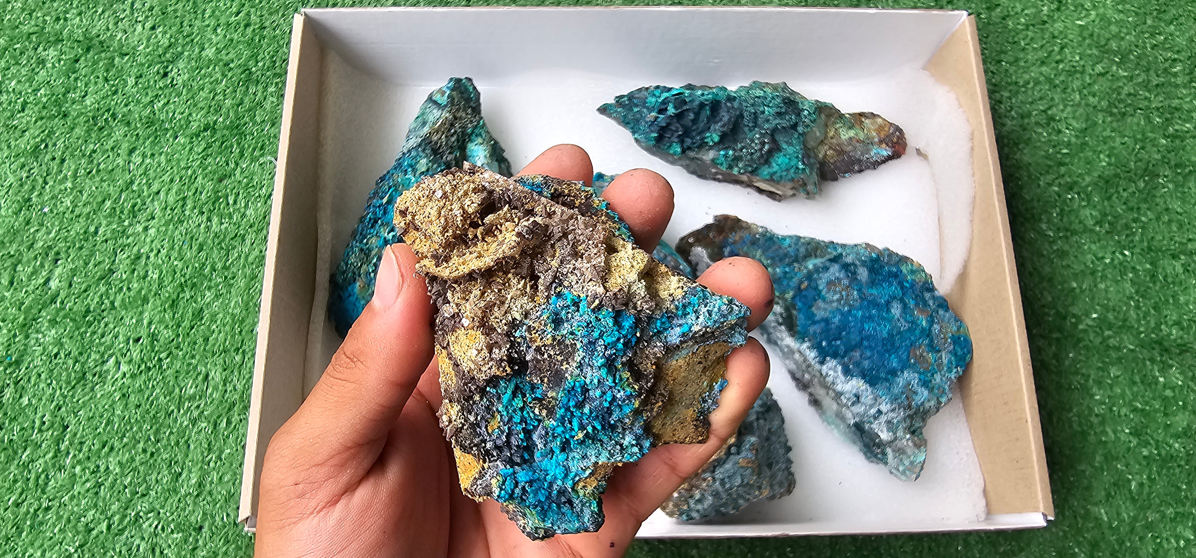 Lot 6 Chrysocolla on Quartz