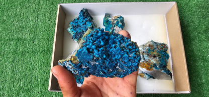 Lot 6 Chrysocolla on Quartz